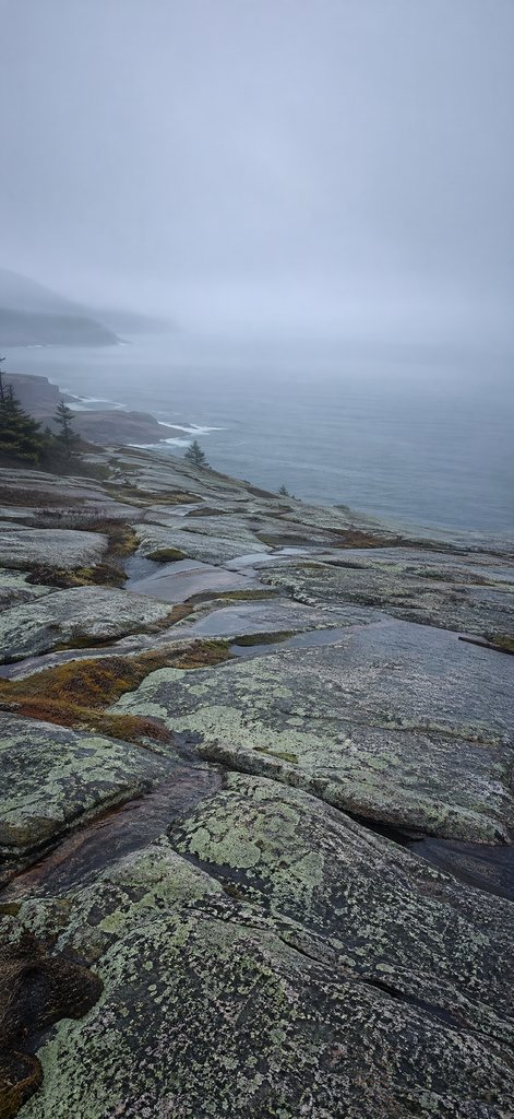Spring Thaw on Lichen Granite