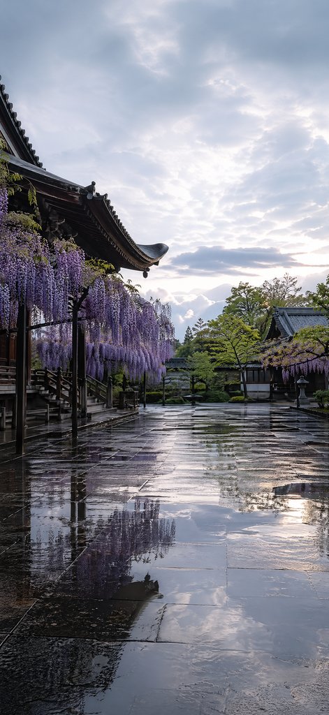 After-Rain Court at Wisteria Peak