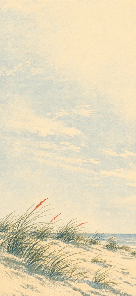 Dune Grass Rhythm