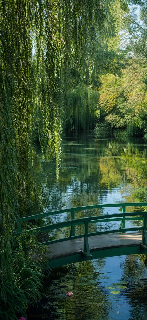 Giverny Jade Crossing