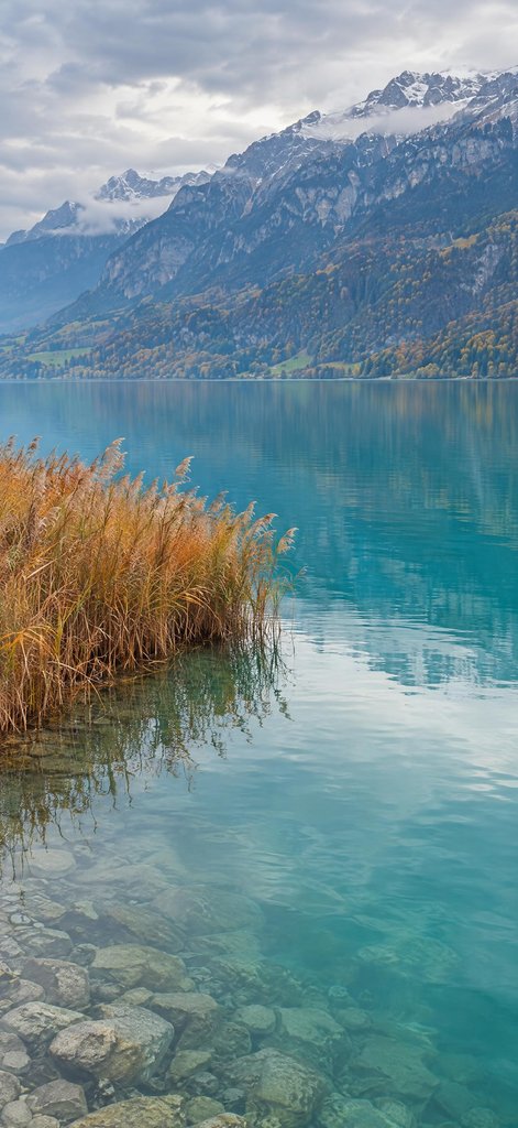 Brienz Reed Point